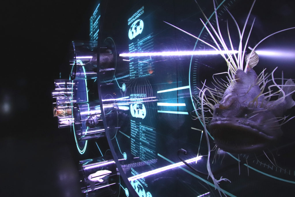 hydropolis-wroclaw-atrakcja